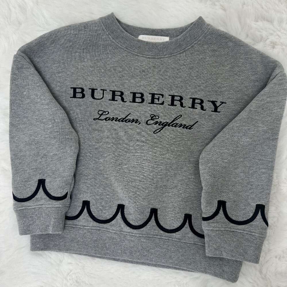 Burberry Grey Crop Sweatshirt - Picture 3 of 8